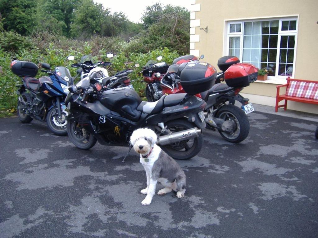 Riverwalk House B&B Oughterard Luaran gambar