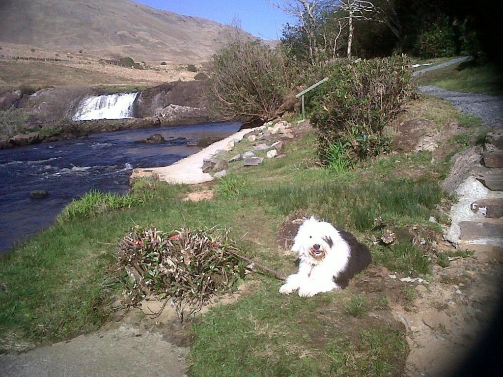 Riverwalk House B&B Oughterard Luaran gambar