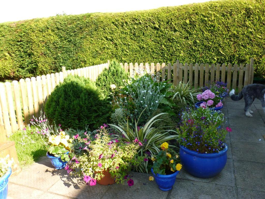 Riverwalk House B&B Oughterard Luaran gambar
